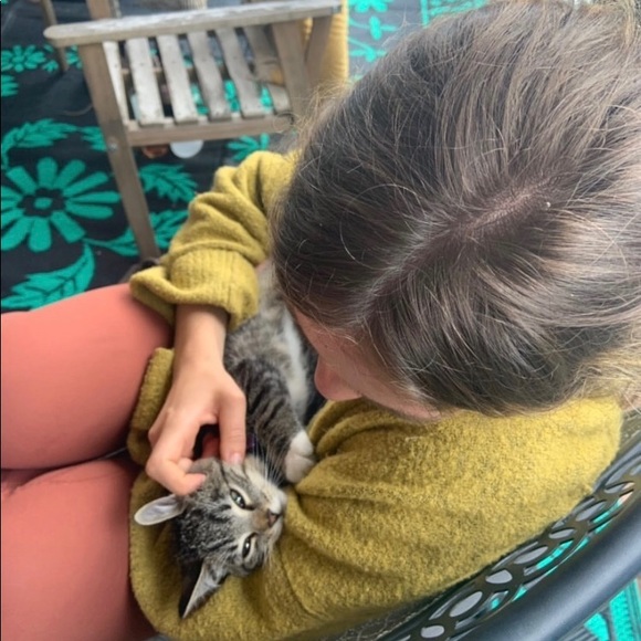 Meet your Posher, Poppy - Picture 1 of 1